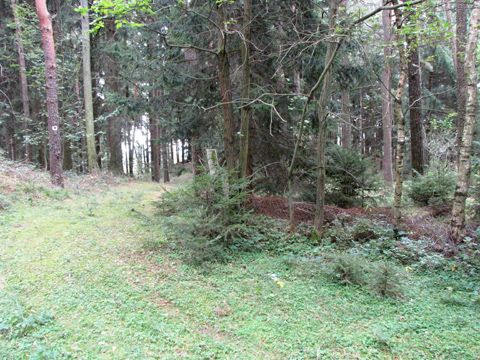 Foto 20